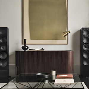 Audífonos Sonos ACE